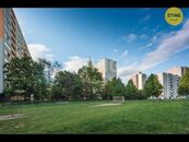 Byt, 1+1, pronájem, Družby, Polabiny, Pardubice, cena 11500 CZK / objekt / měsíc, nabízí Realitní kancelář STING, s.r.o.