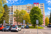 Prodej bytu 1+kk, 30 m2, Pardubice, ul. kpt. Bartoše, cena 3800000 CZK / objekt, nabízí 